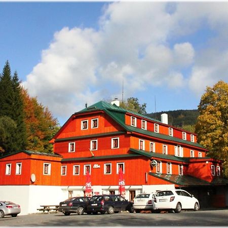 Hotel Alba Destne v Orlickych horach Bagian luar foto