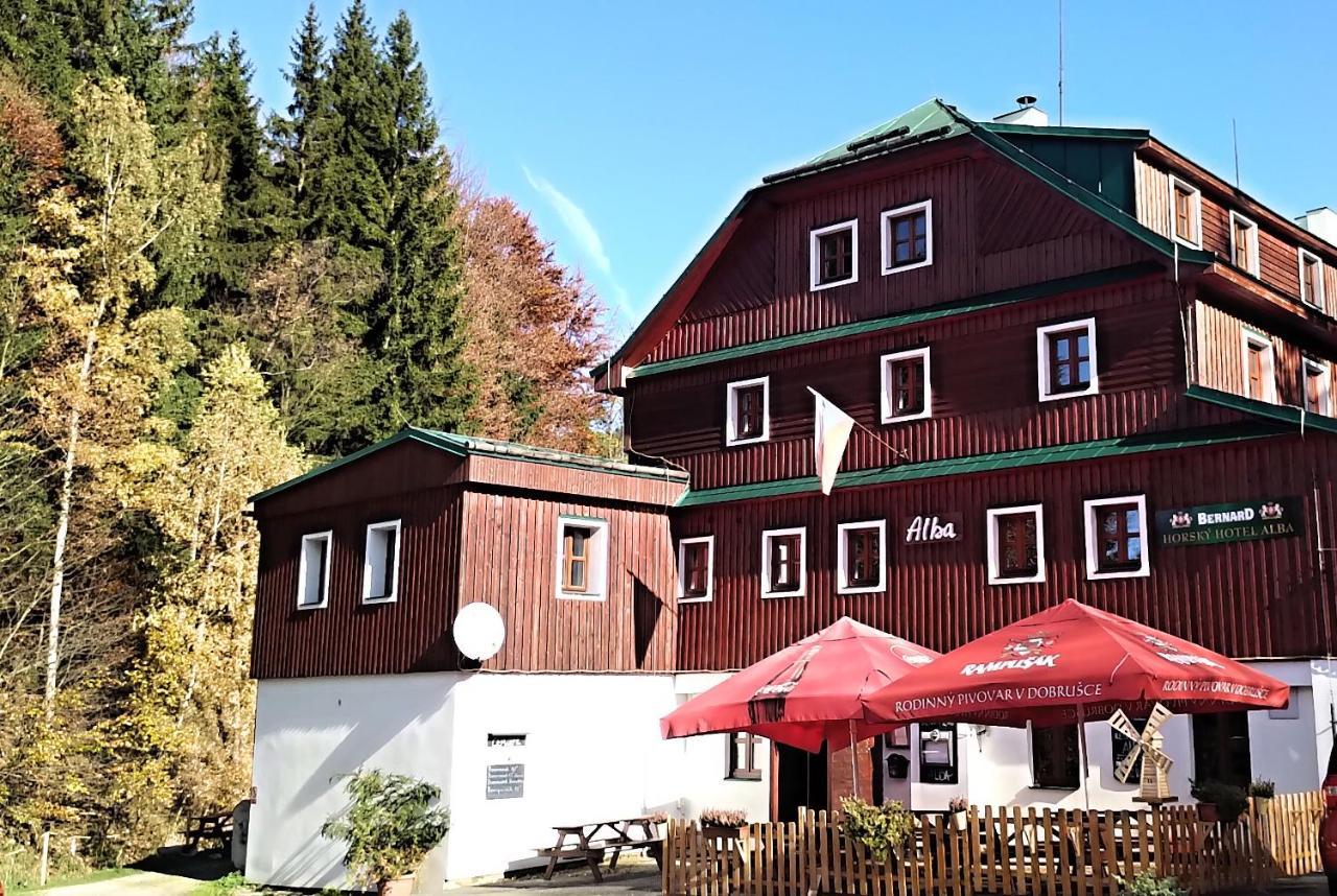 Hotel Alba Destne v Orlickych horach Bagian luar foto