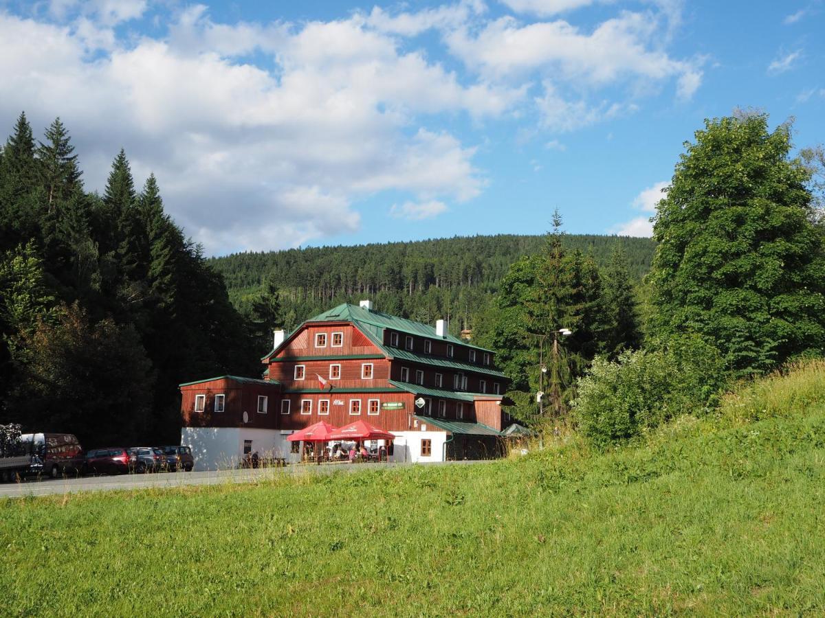 Hotel Alba Destne v Orlickych horach Bagian luar foto