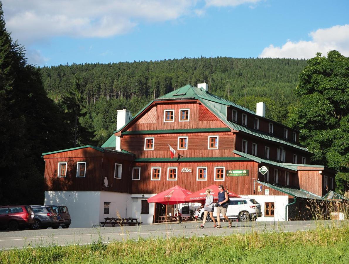 Hotel Alba Destne v Orlickych horach Bagian luar foto