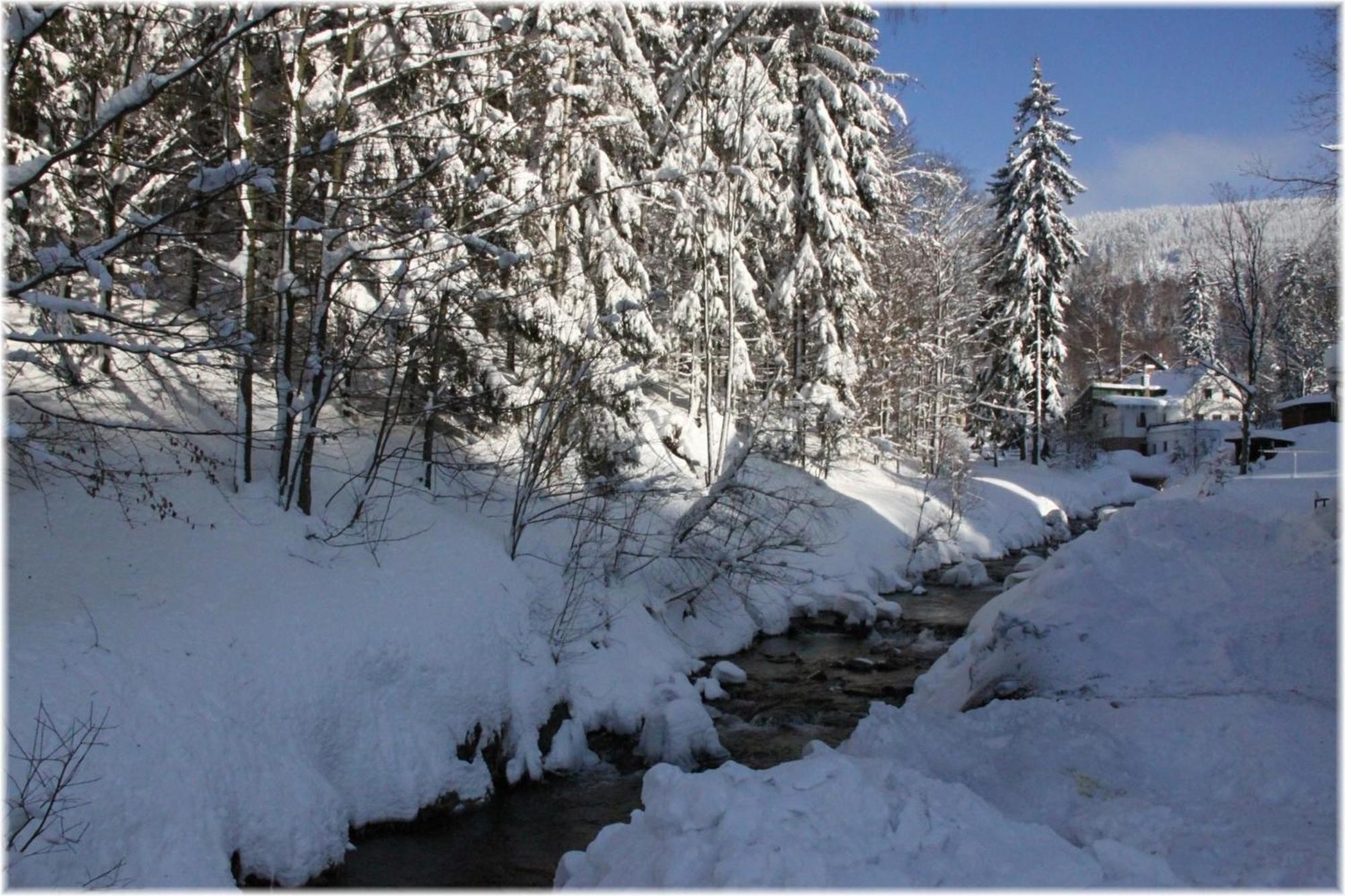 Hotel Alba Destne v Orlickych horach Bagian luar foto