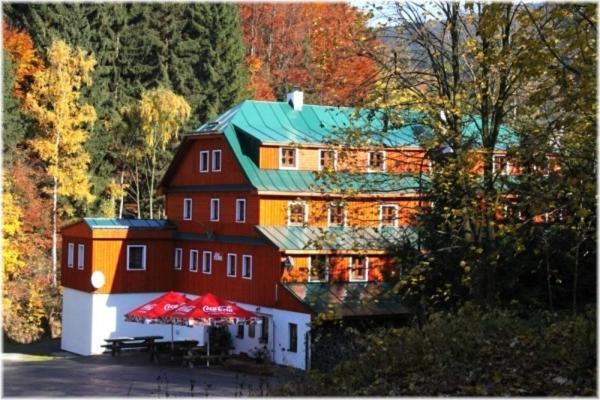 Hotel Alba Destne v Orlickych horach Bagian luar foto