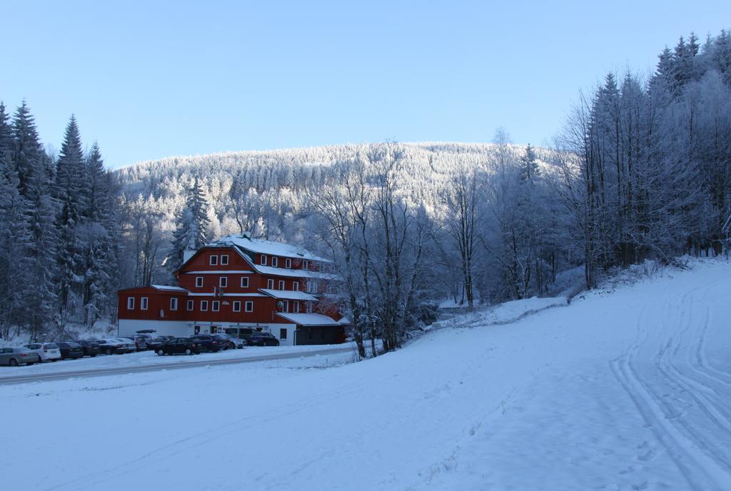 Hotel Alba Destne v Orlickych horach Bagian luar foto