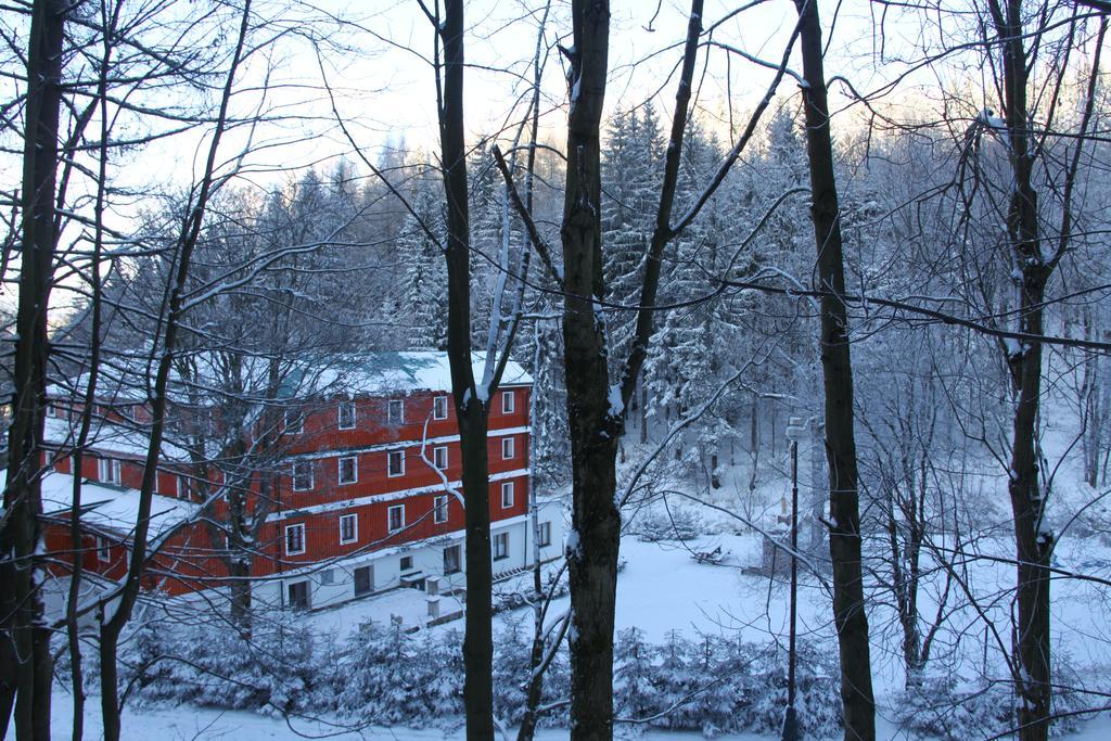 Hotel Alba Destne v Orlickych horach Bagian luar foto